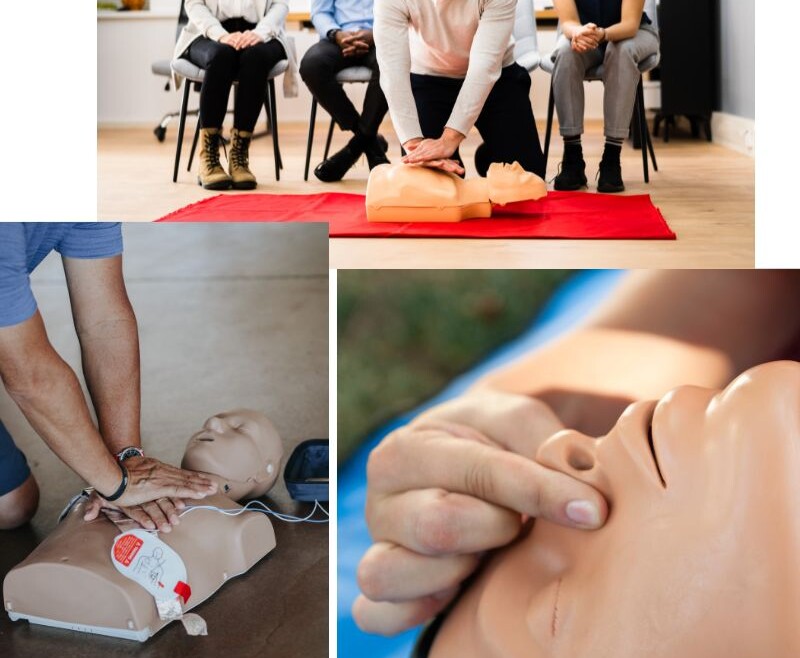 Booby Bird First Aid CPR: Your Trusted American Red Cross Licensed Training Provider